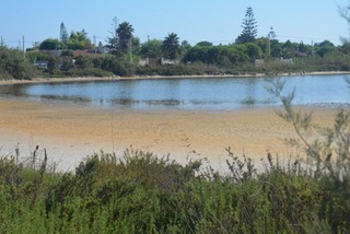 Pantano Ponterio